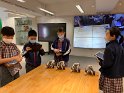 IMG_9421