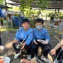 IMG_0084
